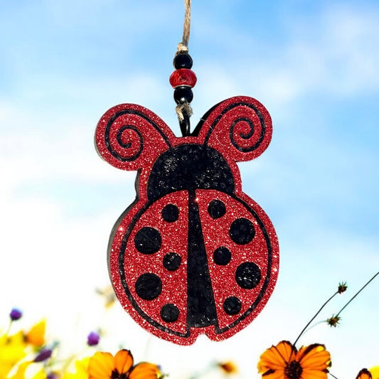 Ladybug 🐞