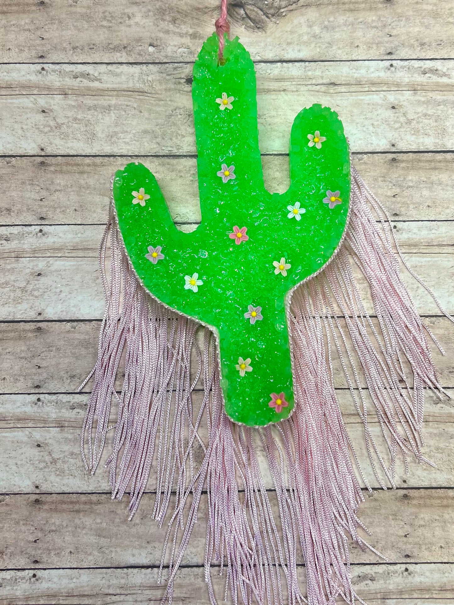 Cactus w/ Fringe