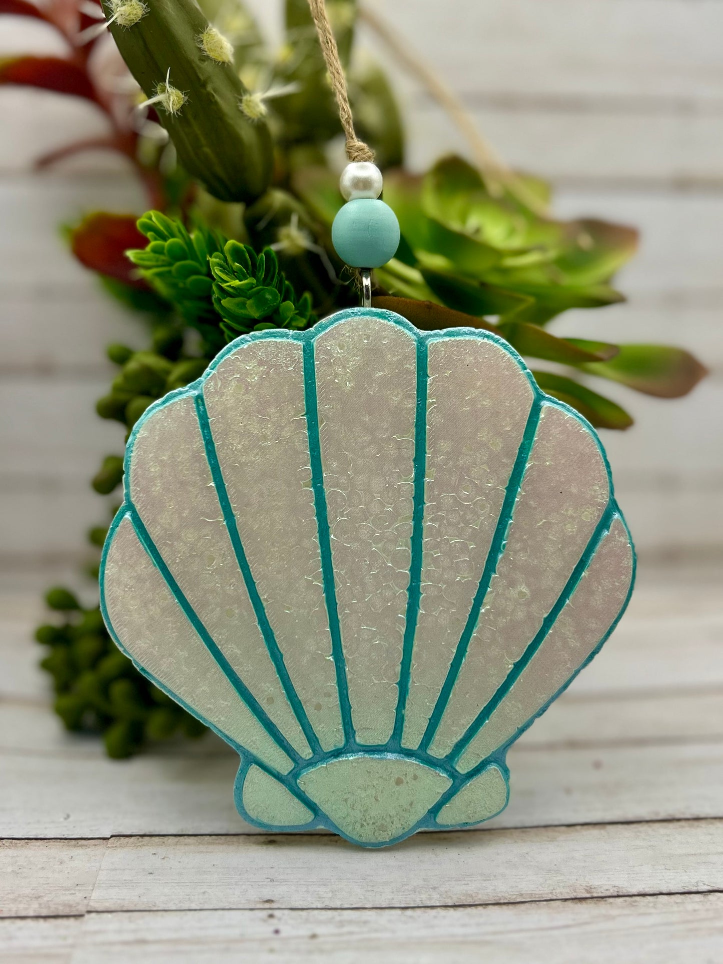 NEW! Seashell