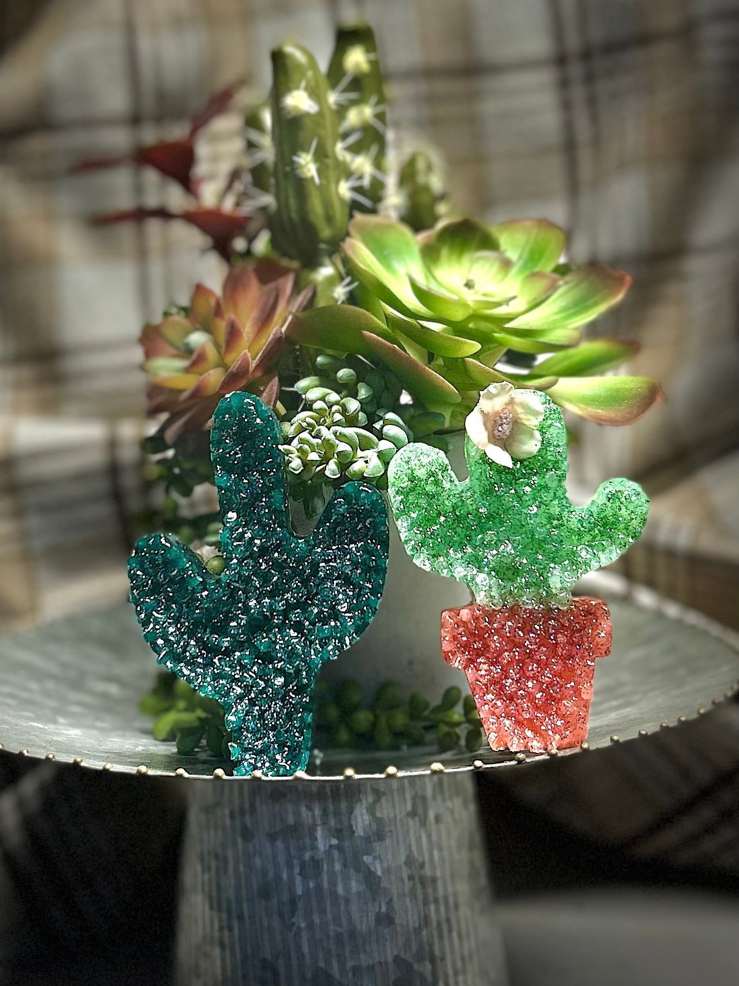 Cactus Vent Clips