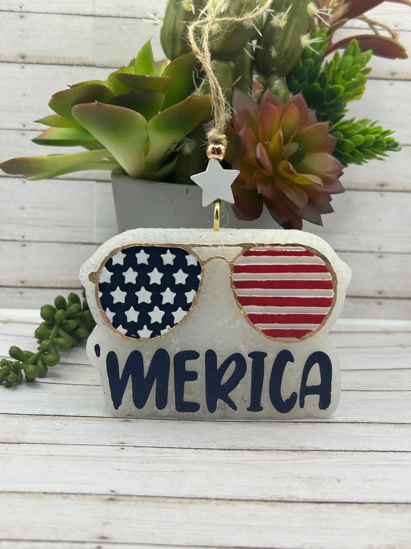 ‘MERICA Sunglasses